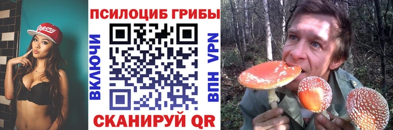 как найти закладки  Елабуга  Галлюциногенные грибы прущие грибы 